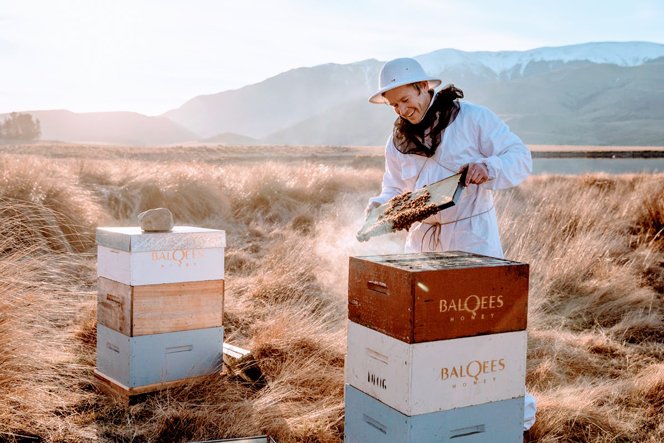 https://highpeakhunting.co.nz/wp-content/uploads/2022/06/honey-2.jpg